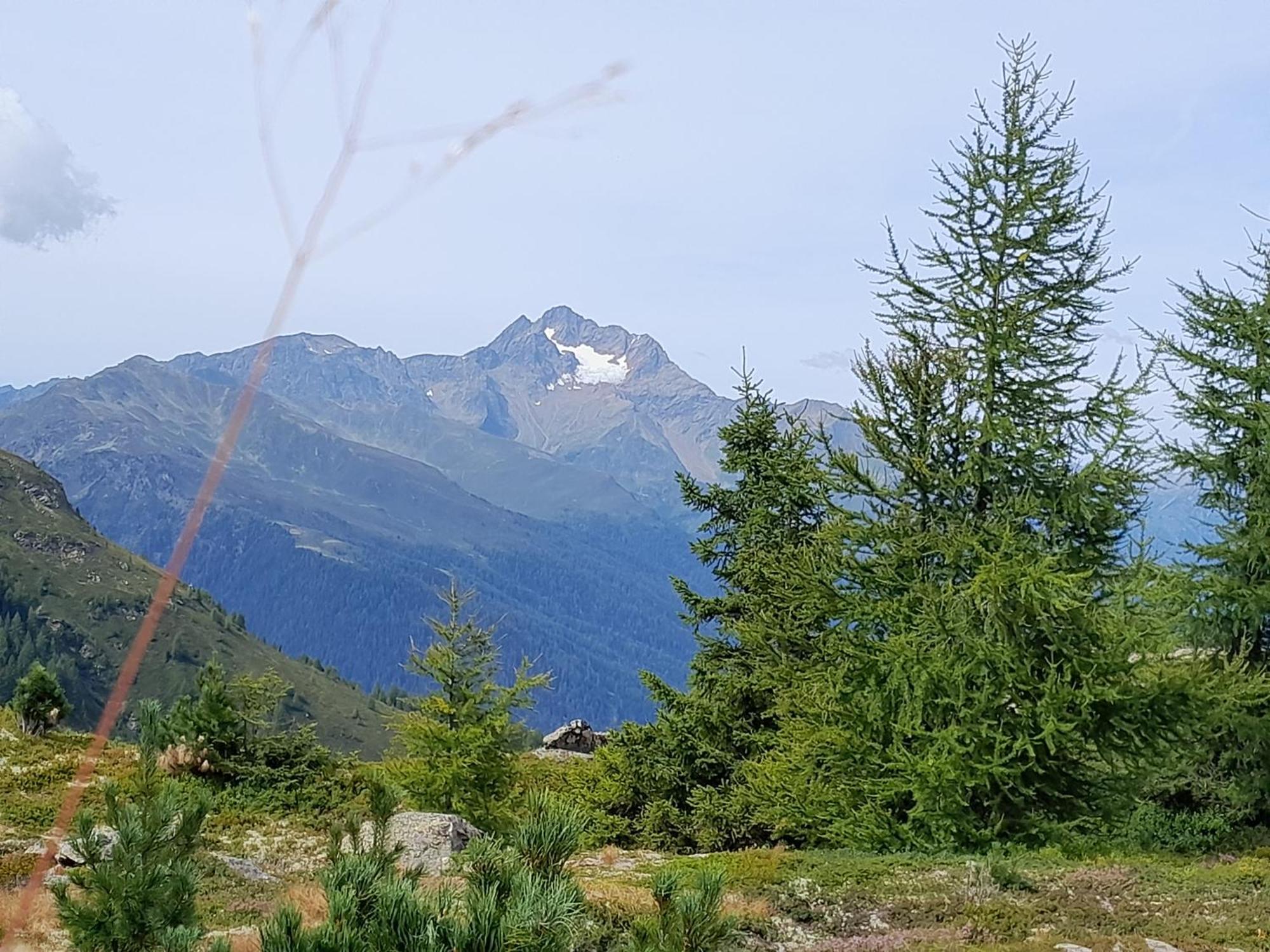 Haus Hotz Apart Talblick Grins 外观 照片
